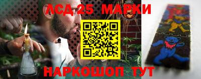 гидра Брянск