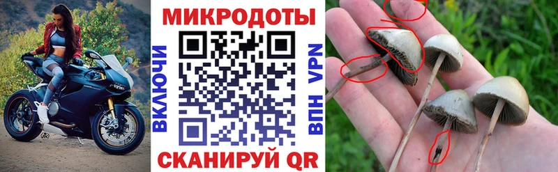 Галлюциногенные грибы GOLDEN TEACHER  Курганинск 