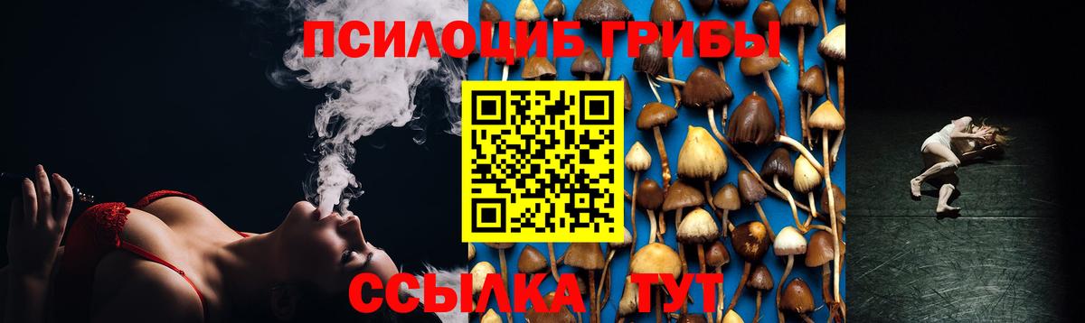 Курганинск  Галлюциногенные грибы Magic Shrooms  Вход с VPN  Псилоцибиновые грибы мухоморы 