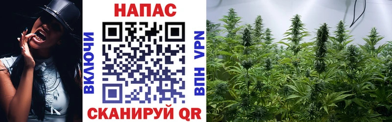 blacksprut ТОР Курганинск Шишки марихуана гибрид хочу наркоту